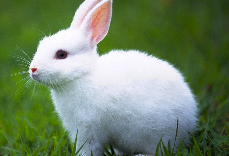 Көйлек киген қыз шешініп жатыр