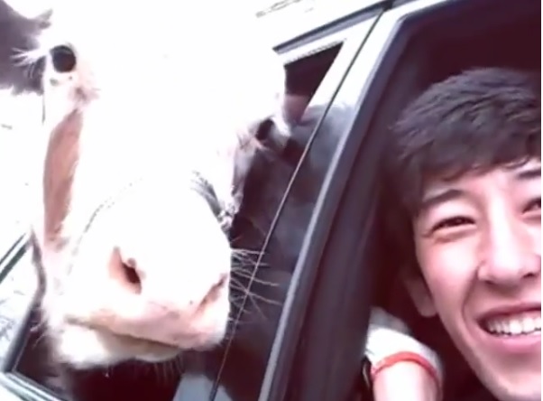 Жігіттер қыздардың етектерін түсіріп, шешіндіреді.