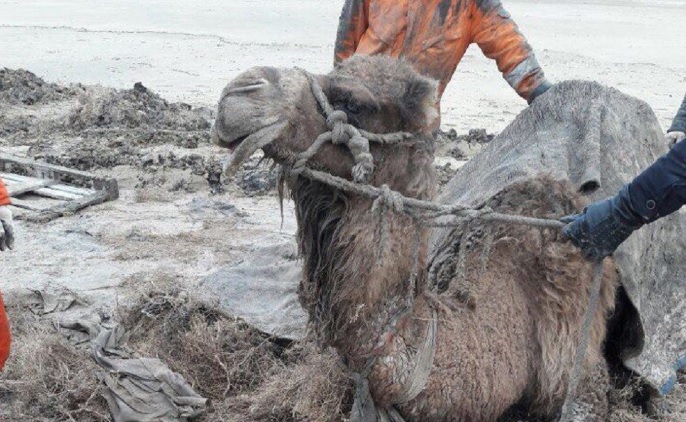 Жүктілік кезінде жыныстық қатынасқа түсуге болады ма?