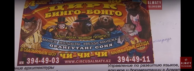2-4
