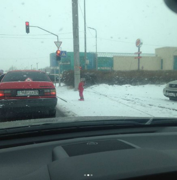 карагандыы кайыршы