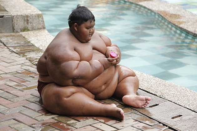 Семіз есектердің фотолары