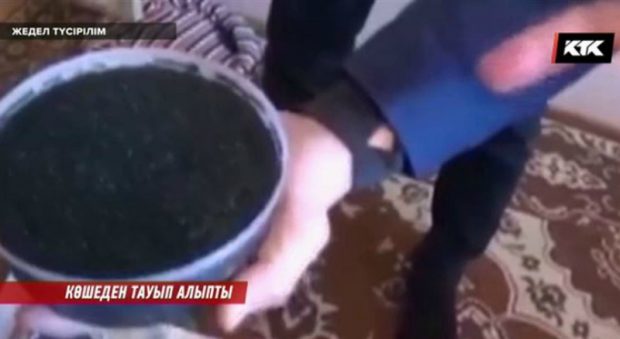 Атыраулық ер адам 2 миллион теңгенің уылдырығын «көшеден тауып алған»