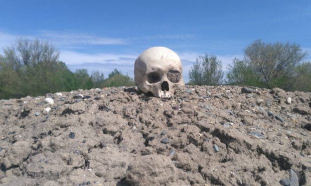 ШҚО-да үйіндіден адамның бас сүйегі мен омыртқасы табылды (фото)
