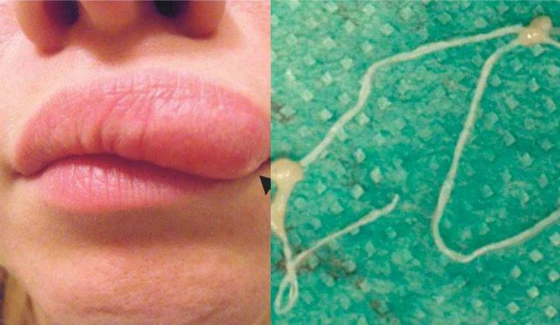 Порно тығыз есектер