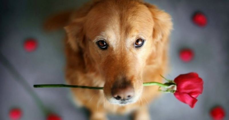 Украиналық жастардың жеке топтық порносы