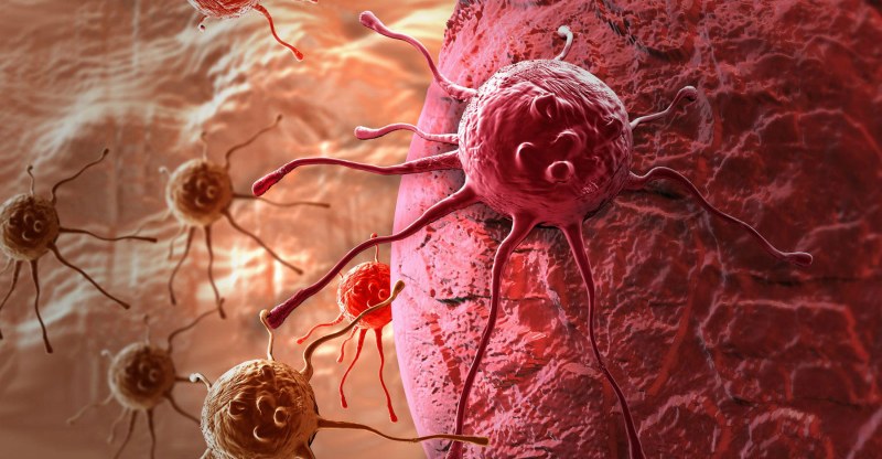 Жалаңаш, сұлу аналардың суреттері