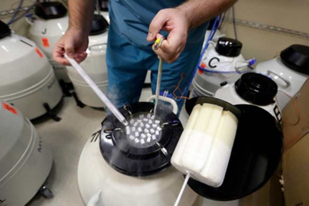 Украиналық порно видео