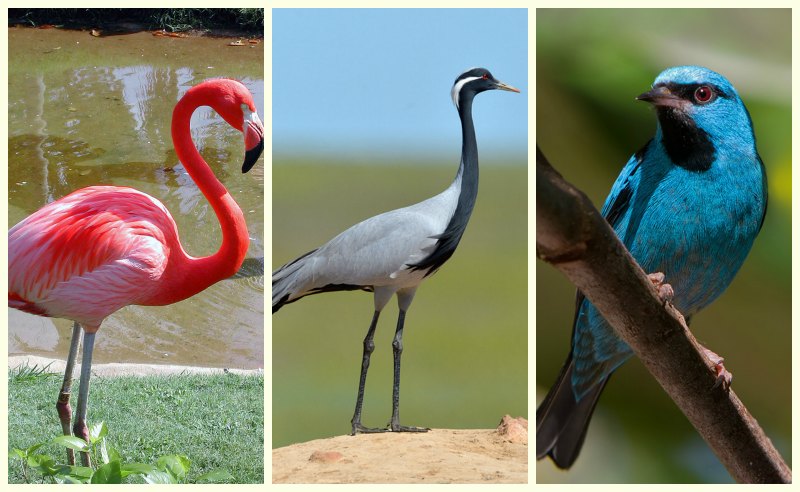 Орыс отбасылық инцест порно