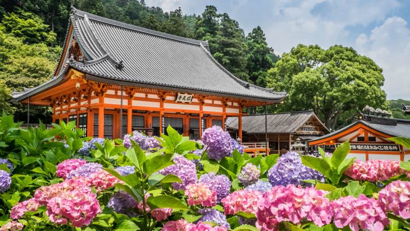 Бетті қыздармен онлайн порно