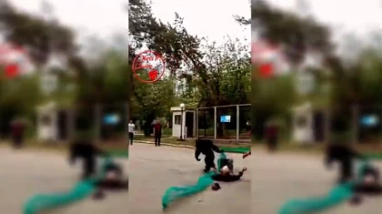 Алматыда зообақтағы тордан қашқан маймылды қолға түсірген сәт жария болды