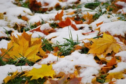 Синоптиктер желтоқсанның алғашқы күндеріне арналған ауа райы болжамын жариялады