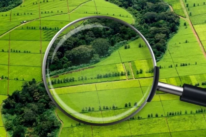 Жергілікті органдар бос жер телімдері туралы ақпаратты тоқсан сайын жариялауға міндеттеледі