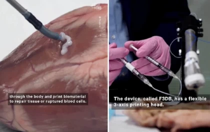 Ғалымдар адам ағзаларын 3D-мен басып шығаруды үйренді