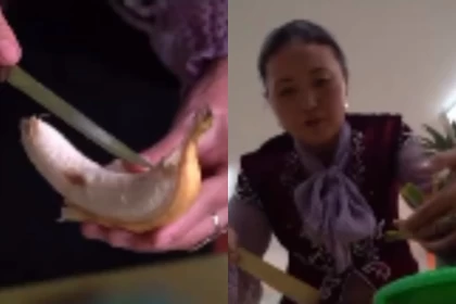 Жамбыл облысында мектеп мұғалімі үйде банан өсіреді