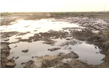 "Тыныстау мүмкін емес": Шымкентте бірнеше шағынаудан тұрғындары кәріз иісіне тұншығып отыр