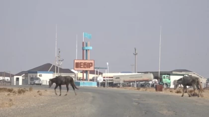 Маңғыстау облысында кәсіпкерлікке кедергі келтірген әкім 345 мың теңге мөлшерінде айыппұл төлеген