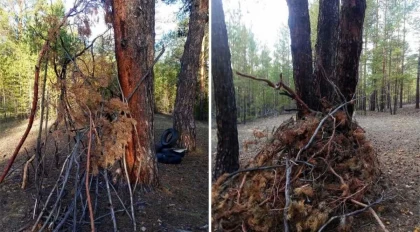 "Семей орманы" резерватында орманды өртеуге арналған құралдар табылған