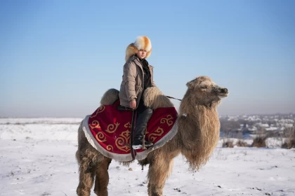 "Қалада тымақ пен етік киіп жүруге ұялмаймын": Асау жылқы мен алып түйені үйрететін қаршадай қазақ қызы кім? 