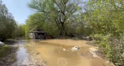 Жайық өзенінен тасыған су Орал маңындағы саяжайларды басып қалды (видео)