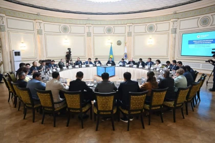 Алматыда бизнес иелері аумағын абаттандыруды қадағалауға міндеттеледі