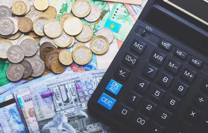 Жаңа Салық кодексі бойынша "жеңілдетілген" салық режимінде қалатындардың тізімі жарияланды