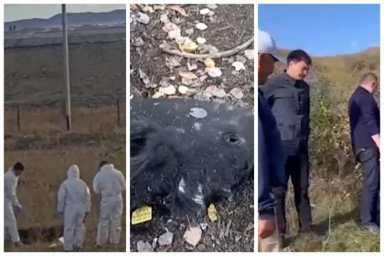 ШҚО ауылында мал қырылып жатыр: Тұрғындар шенеуніктерді бұлақтан су ішуге мәжбүрледі