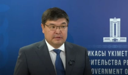 Қазақстанда "жеңілдетілген" салық режимі сақталады: Тыйым салынған тізімде 44 қызмет түрі ғана қалады