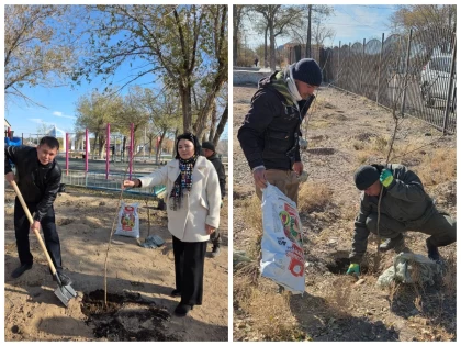 Балқашта экологиялық жоба басталды: 1668 ағаш пен бұта отырғызылды