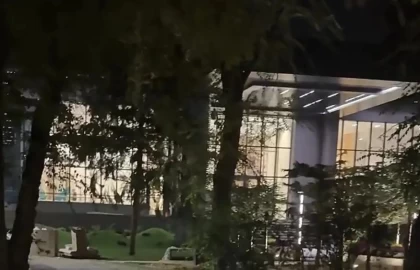 "Үлкен тойхана": Алматылықтар орталық саябақта салынып жатқан ғимаратқа наразылық білдірді