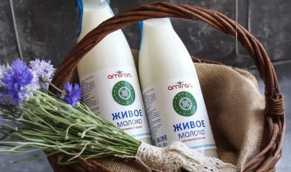 Amiran сүт зауыты әкімдіктің миллиондаған қарызының кесірінен жабылудың аз-ақ алдында тұр