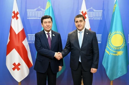 Мәжіліс пен Грузия парламенттері заң шығару бағытында тәжірибе алмасады