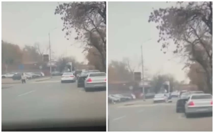 Алматыда жүргізуші 12 жастағы қызды қағып, оқиға орнынан қашып кеткен