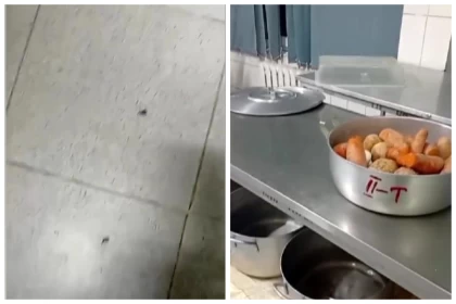 Алматыда балабақшада тарақандар мен жәндіктер қаптап, ата-аналар шағым білдірді