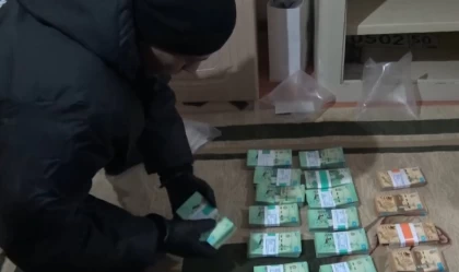 Қызылорда облысында лауазымды тұлғалар жалған құжаттармен 254 млн теңгеге балық экспорттаған