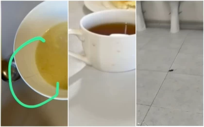 "Тышқан жүгіріп жүр": Алматыда ата-аналар жекеменшік мектептің асханасы талапқа сай емес екенін айтып шағымданды