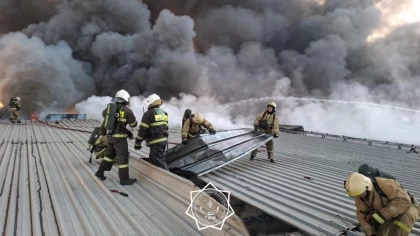 Алматыда екі қабатты қойма өртенді (видео)