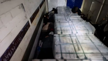 Қазақстанға заңсыз кірмек болған 10 шетелдік ұсталды