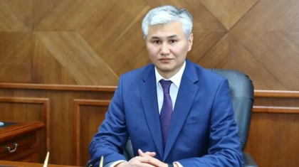 SCAT бортындағы ер адам дәрет сындырып отырған фотосы: шенеуніктер шағым түсіретінін айтты