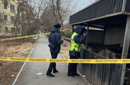 Түркістан облысында қоқыс жәшігінен жаңа туған нәрестенің мәйіті табылды