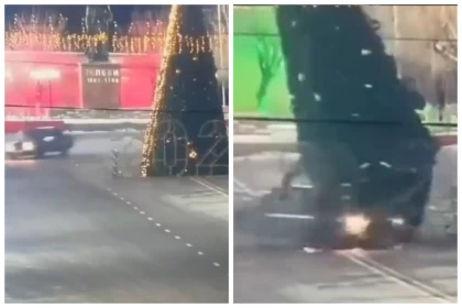 Түркістан облысында жүргізуші шыршаны құлатып кетті (видео)