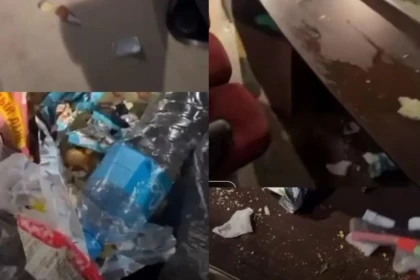 "Тамақ жеуге келіп, қоқысқа толтырып кетеді": Алматы циркінің қызметкері қойылымнан кейінгі залды көрсетті