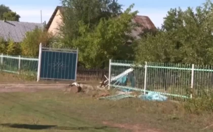 Бестеректегі балалар өлімі: Эпилепсиямен ауыратын жүргізуші тоғыз жылға сотталды