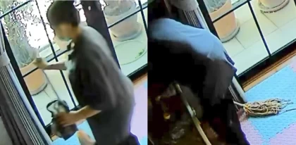 Үй қызметшісі баланың сүтіне дезинфекциялық қоспа қосып, қашып кеткен