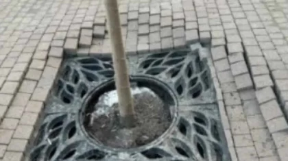 "Осыған алты ай кетті": Алматылықтар Достық даңғылындағы жөндеу сапасына шағымданды