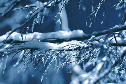 Желді дауыл, аяз, тұман: Алдағы демалысқа ауа райы болжамы жарияланды