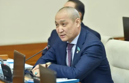 Қазақстандық ер адам мәжіліс депутатын жасаған мәлімдемесі үшін сотқа берді