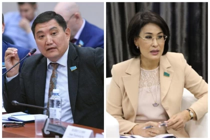 Депутат Бақытжан Базарбек МӘМС-тегі былықтар үшін министр Әлназарованы жауапқа тартуды талап етті