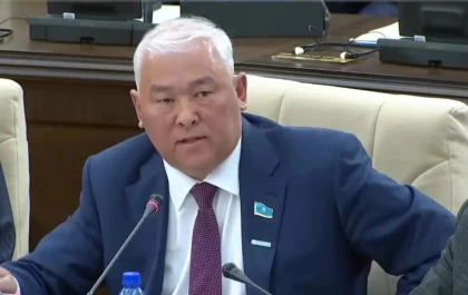 Мәжіліс депутаты Мұрат Әбенов референдум атауын өзгертуді ұсынды