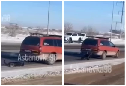 Астана тұрғыны иті жүрмей қойғаны үшін көлікке байлап жол бойымен сүйреген